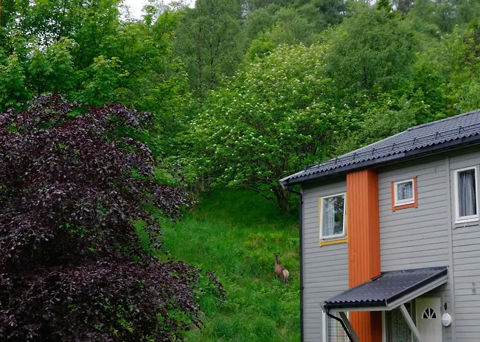 Master Hotel apartamentowy 4*