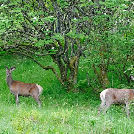 아파트호텔 Master