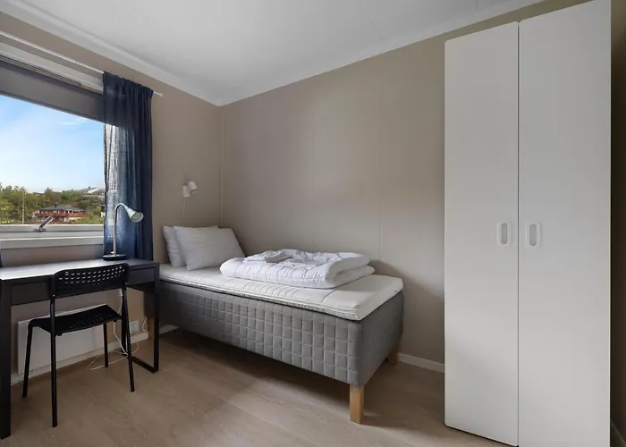 Master Μπέργκεν